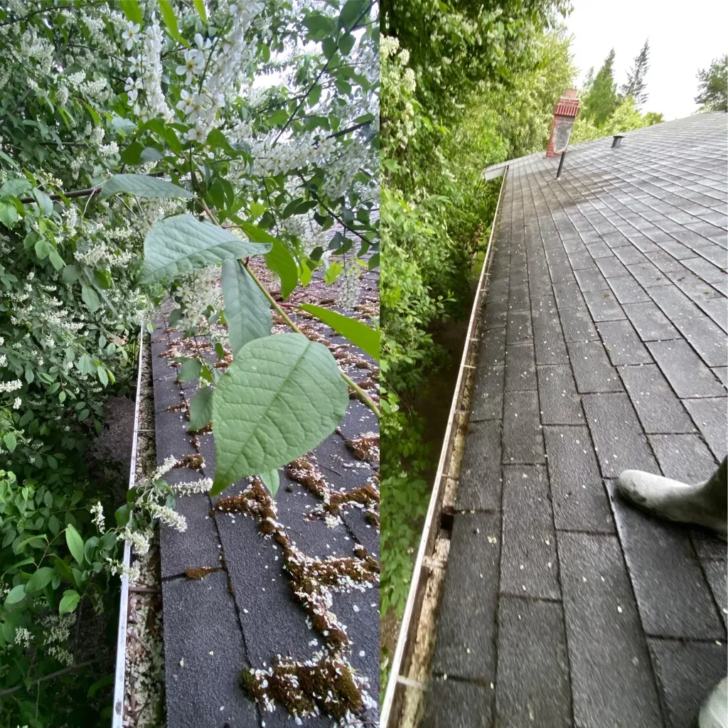 Gutter Cleaning