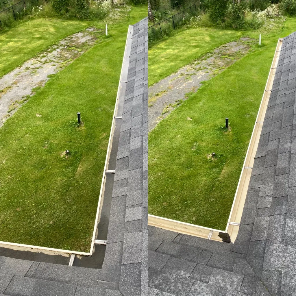 Clogged gutter debris removal in Anchorage