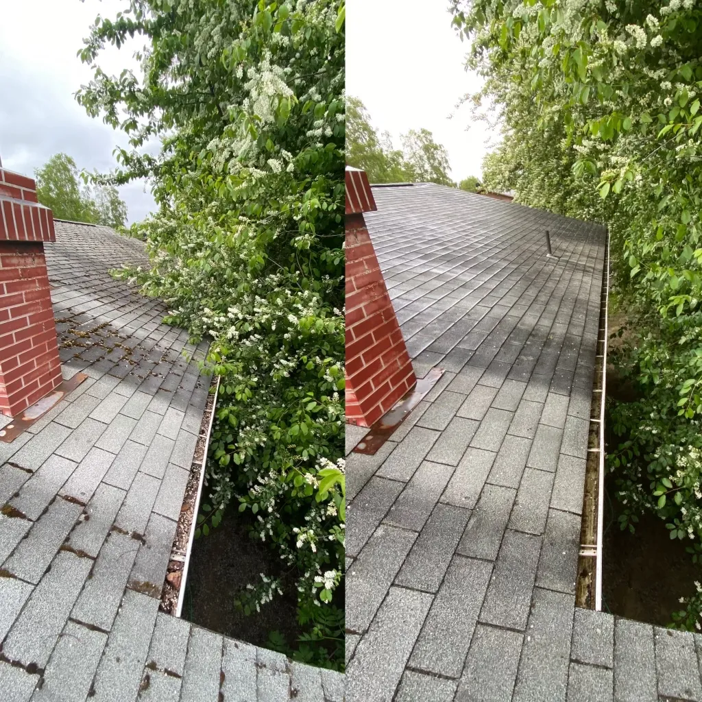 Roof moss removal on Wasilla home