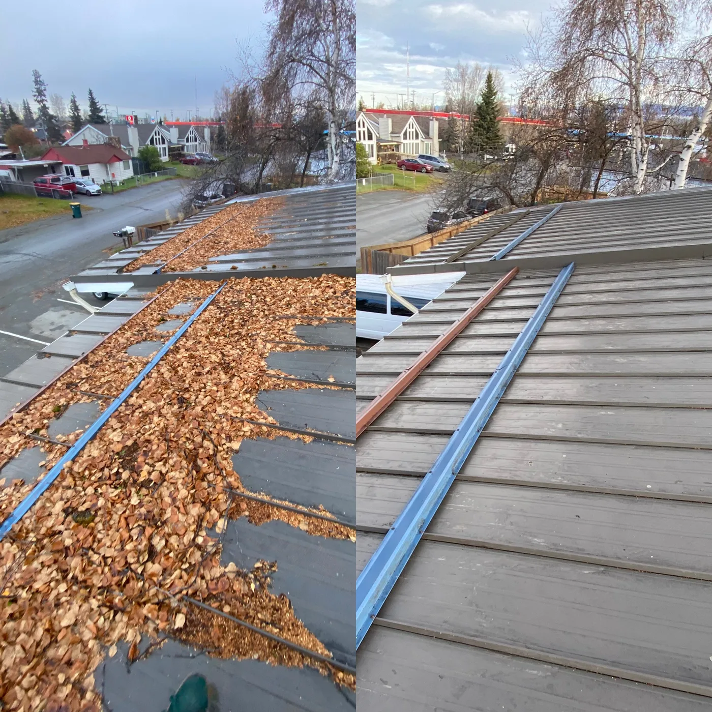 Roof Debris Removal